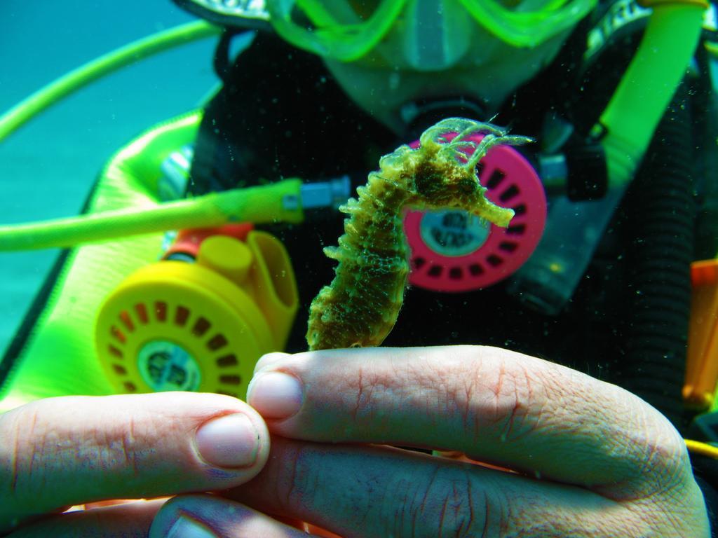 Diving Center Punta Stilo 아파트 외부 사진
